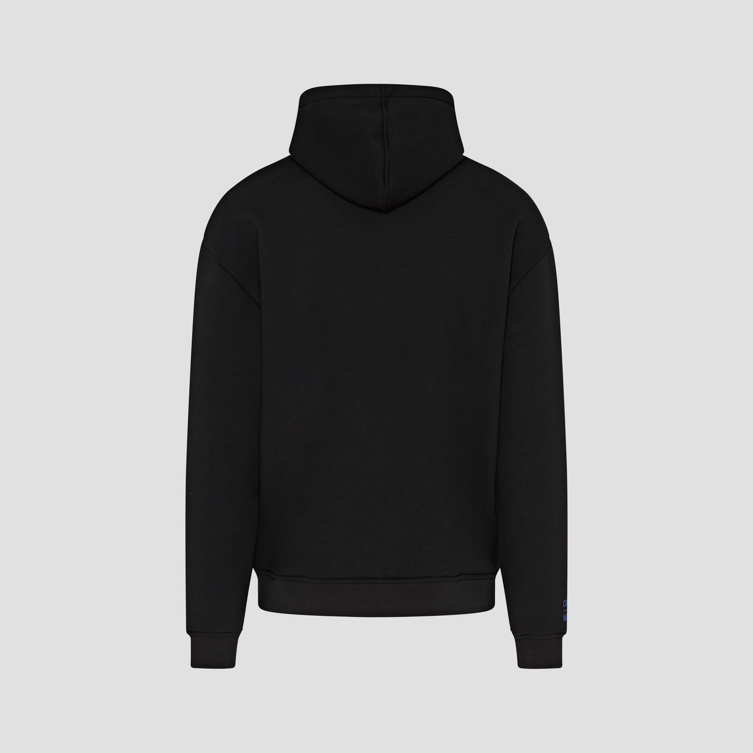 ACCENT LOGO HOODIE
