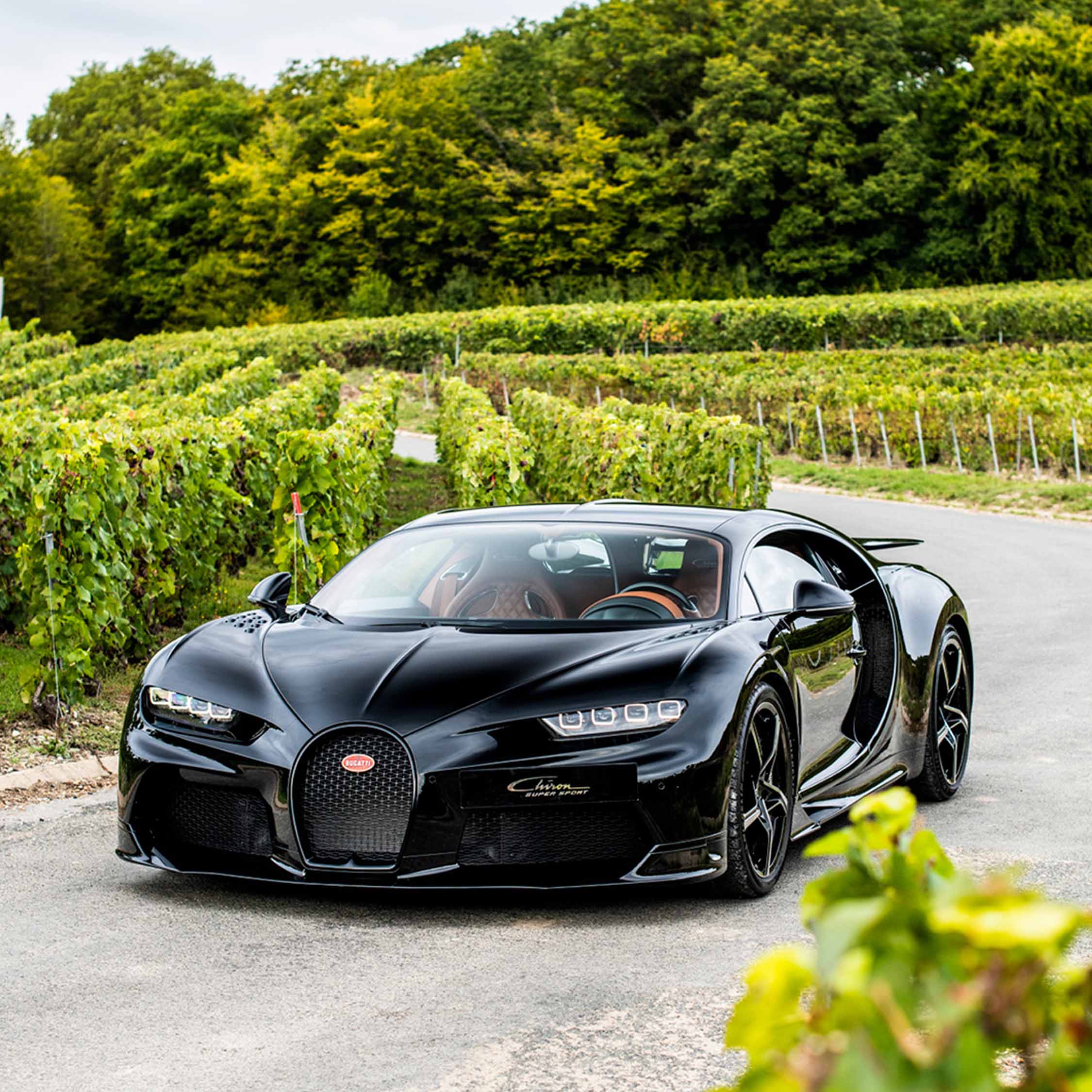 BUGATTI CHAMPAGNE CARBON EB01